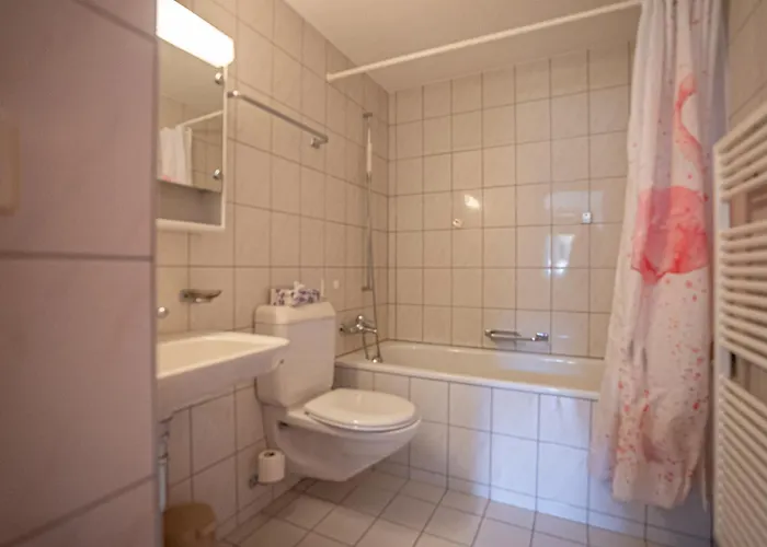 Sonnenhalde C31 * 리더알프